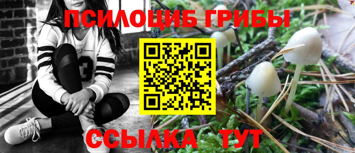 Галлюциногенные грибы Magic Shrooms Ачинск