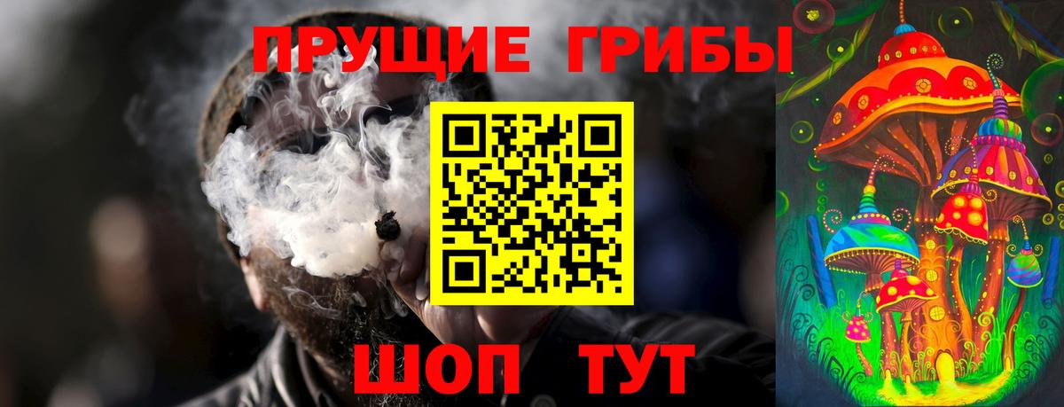 Галлюциногенные грибы Psilocybine cubensis  Псилоцибиновые грибы GOLDEN TEACHER  Вход с VPN  Ачинск 