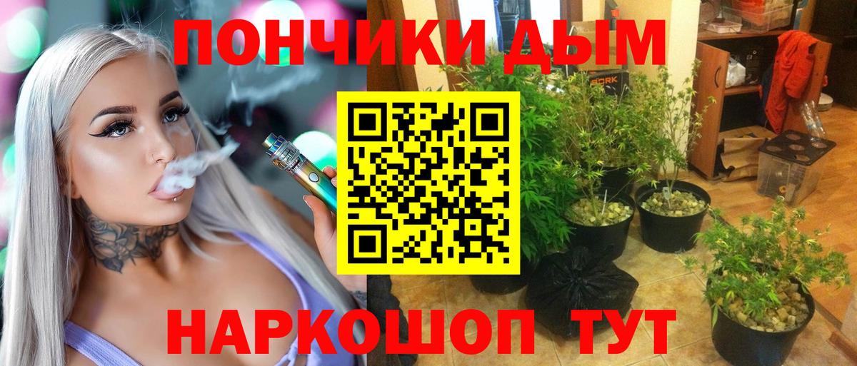 Шишки марихуана план  Вход с VPN  Шишки марихуана LSD WEED  Ачинск  Канабис Amnesia 